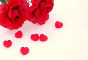 Valentine's Day Flowers
