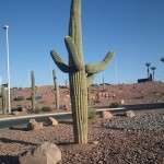 Scenery near Vegas airport.